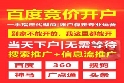 案例分析：SEM托管服务助力电商销量倍增